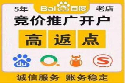 突破SEO困境：托管竞价SEM实战案例